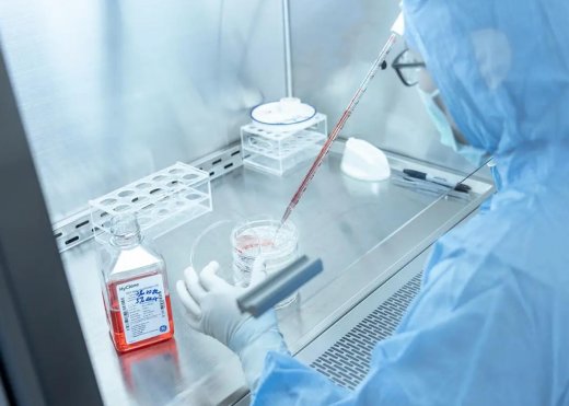 細胞實驗室功能區(qū)劃分標(biāo)準(zhǔn)