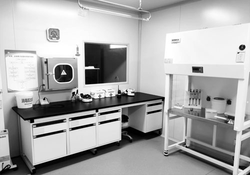 微生物實驗室3.jpg