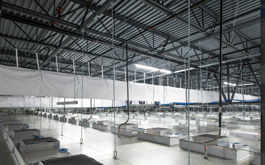 風扇過濾器單元和空氣處理單元：有什么區(qū)別？