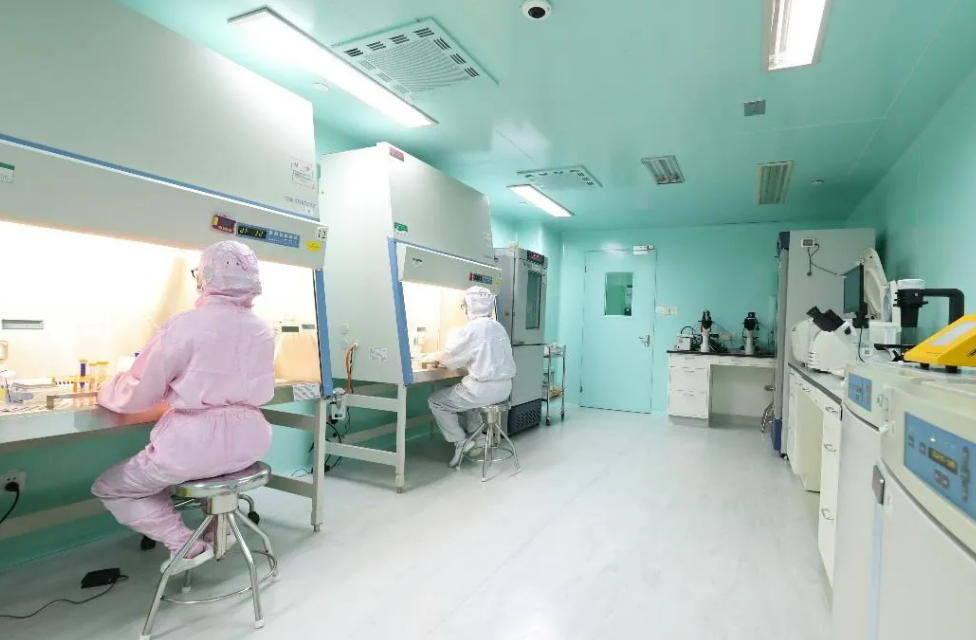 實驗室氣路系統(tǒng)