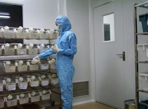 P2實(shí)驗(yàn)室