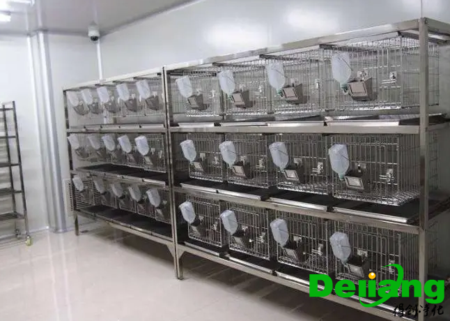 動(dòng)物實(shí)驗(yàn)室