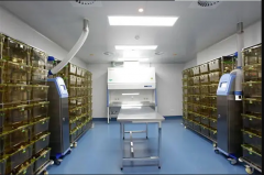 SPF動物實驗室建設(shè)工程報價