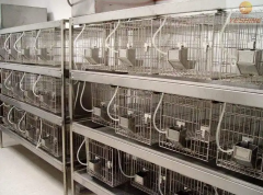 動物實驗室建設(shè)依據(jù)