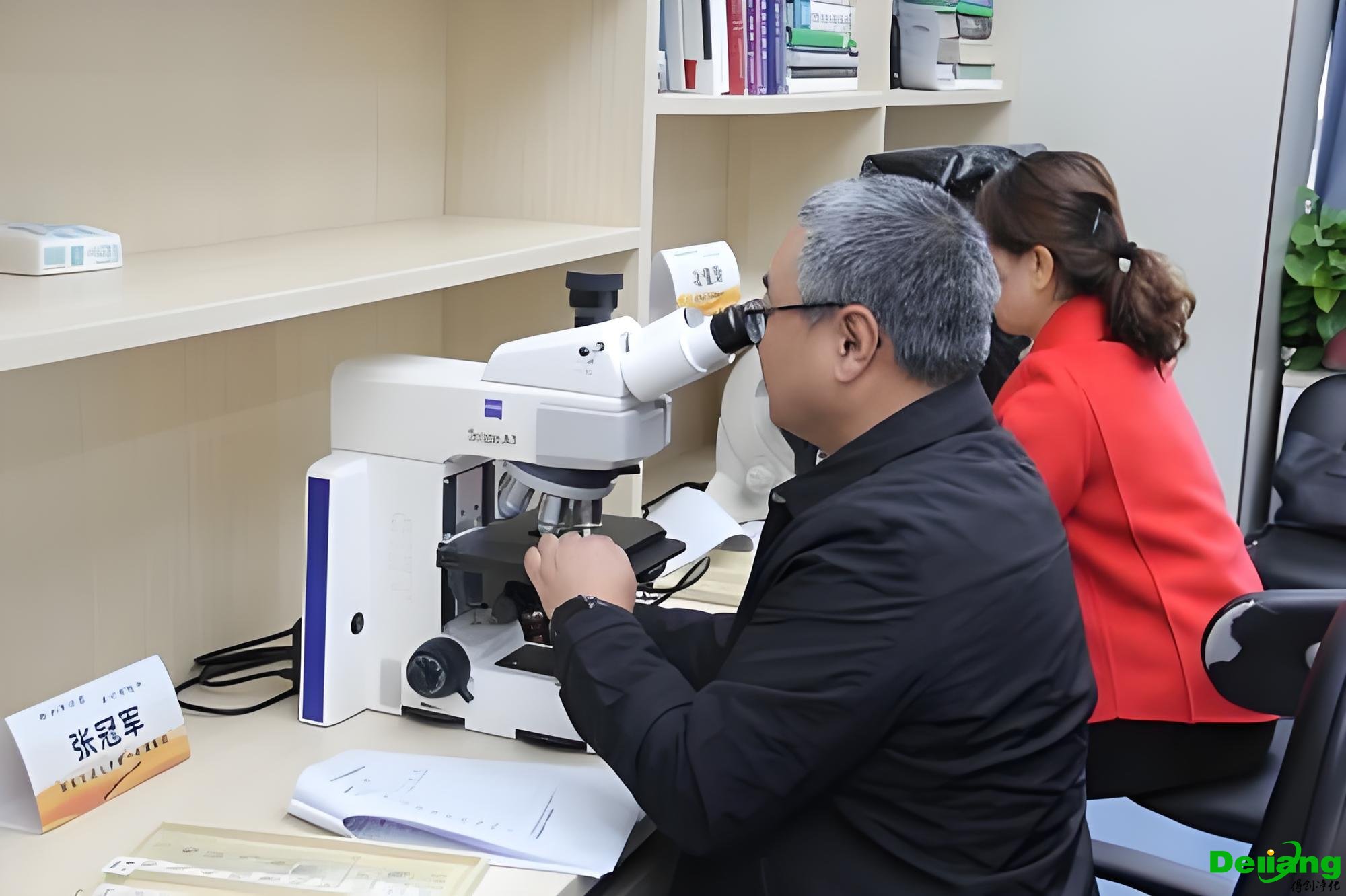 閱片區(qū)(Microscopy Area)