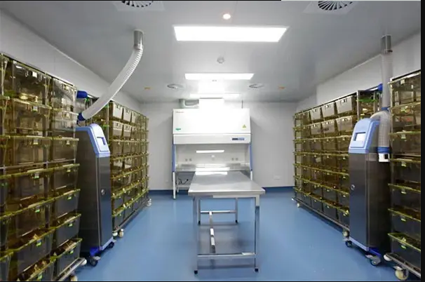 動物實驗室效果圖